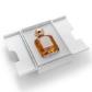 THE GATE PARIS Sensual Dream Extrait 100 ml